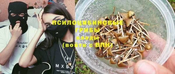 синтетический гашиш Заводоуковск